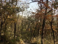 -阳台山自然风景区