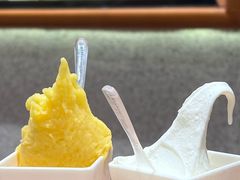 -野人先生现做冰淇淋(北京环宇荟店)