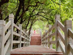 -广州白江湖森林公园