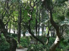 -黄埔荔枝公园