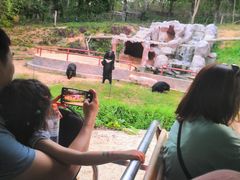 -清迈夜间动物园