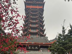 -塔子山公园