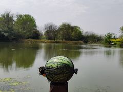 -梁鸿国家湿地公园