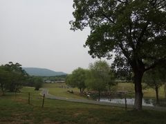 -钟山体育运动公园