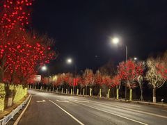 -哈尔滨大剧院