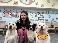-汪说·狗咖(旺城大厦店)