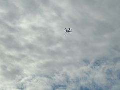 -深圳湾公园(南山区)
