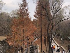 -白水寺森林公园