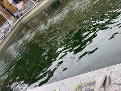 -DGE季风钓虾营地·团建·聚会