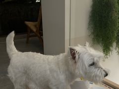 -悠尼宠物·独立低压伊珊娜洗护·美容·寄养(兰谷路店)