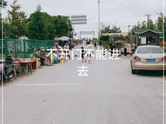 -南汇新城海滩