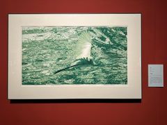 -江苏省美术馆(长江路新馆)