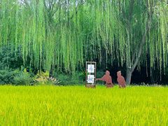 -北坞公园
