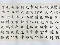 -阿妮亚少儿美术书法(望京店)