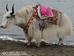 -青海湖国家重点风景名胜区