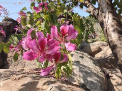 -中国移动南方基地