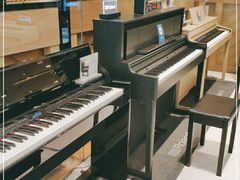 -柏斯琴行(汾阳店)