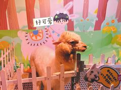 -正佳雨林生态植物园