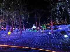 -三亚红色娘子军演艺公园景区
