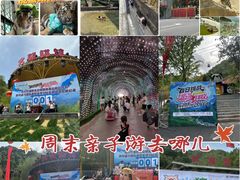 -栾川竹海野生动物园