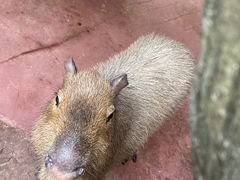 -长鹿旅游休博园
