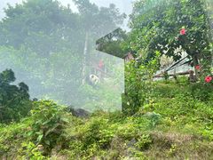 -泉州海丝野生动物世界