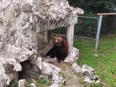 -成都动物园
