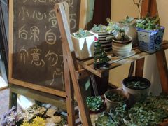 -猫色咖啡·猫咖