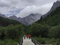 -稻城亚丁景区-冲古草甸