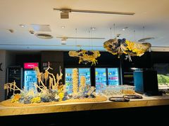 -Mr.Fish鱼鲜生海鲜放题(高德置地冬广场店)