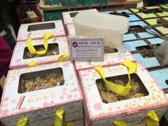 -钜记手信(兴华楼店)