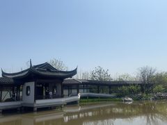 -上海滨江森林公园