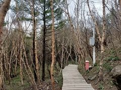 -白草畔自然风景区