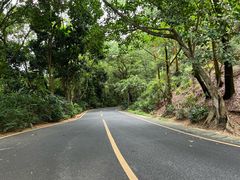 -深圳仙湖植物园