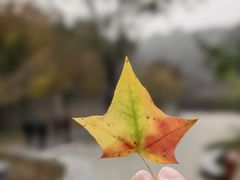 -北宫国家森林公园