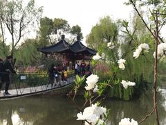 -南汇桃花村