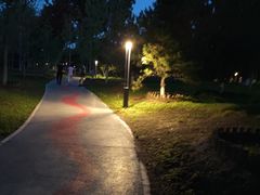 -莲花池公园