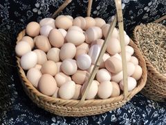 -老阿爸江浙土菜(奥体中心店)