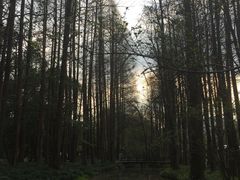 -西湖外事游船(花港观鱼码头)