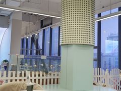 -怪兽屋·羊驼·猫咖·狗咖(俊华广场店)