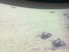 -天津自然博物馆