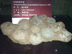 -中国西峡恐龙遗迹园