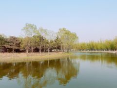 -大兴滨河森林公园