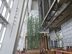 -上海柏悦酒店·世纪100牛排馆