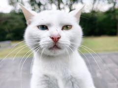 -敬亭山风景名胜区