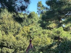 -敬亭山风景名胜区