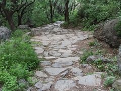 -阳台山自然风景区