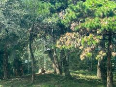 -沈阳森林动物园