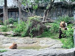 -武汉动物园