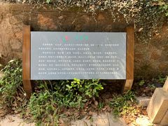 -雨花胜境